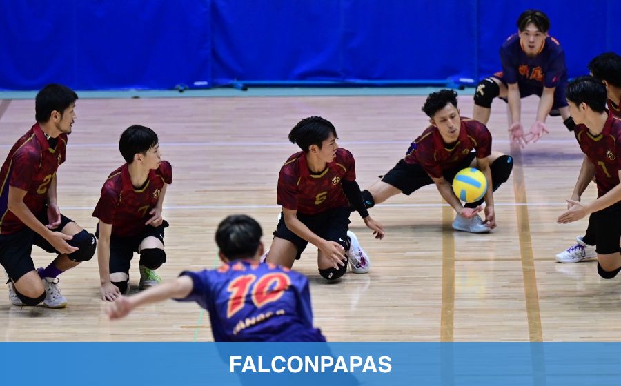 FALCONPAPAS
